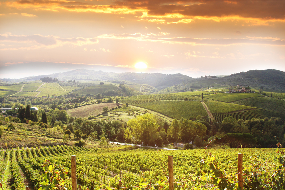 Chianti Villas - Self Catering accommodations in Chianti near Florence