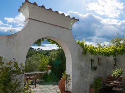 Holiday Villa near Florence: Villa Torricella
